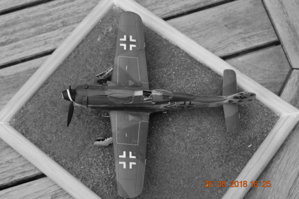 FW 190 D9 - 1/48° - kit Dragon-Trimaster D9_7310