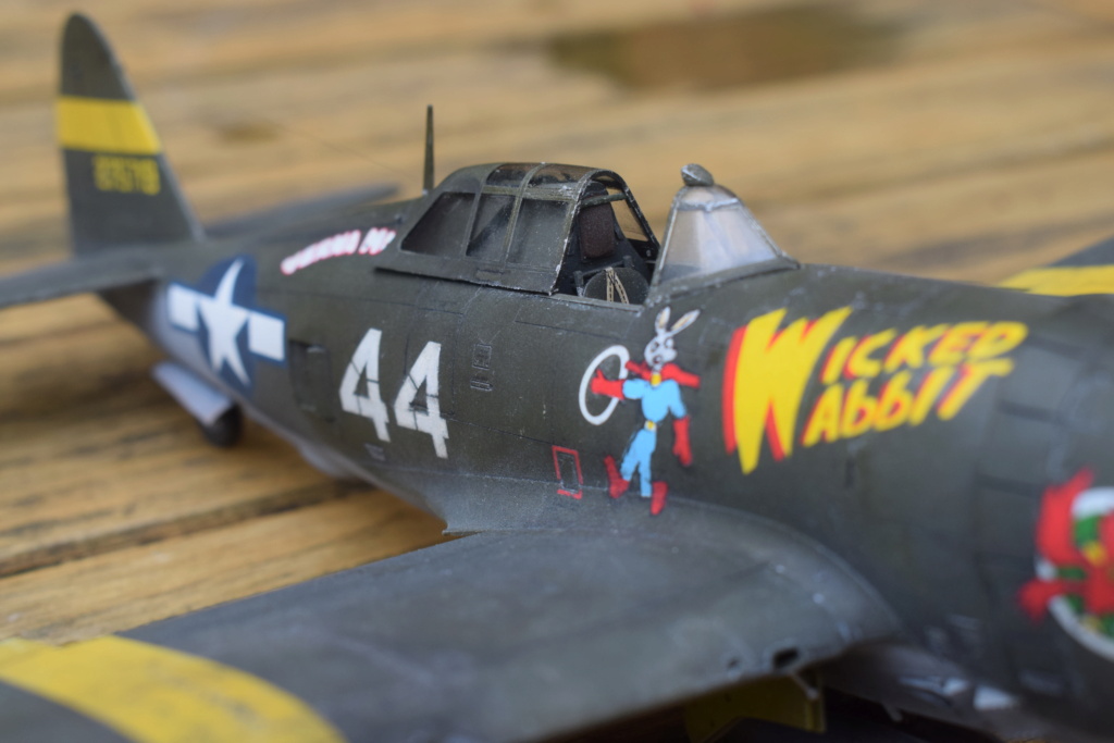 Republic P47D Thunderbolt razorback - 1/48° - Tamiya Dsc_0229