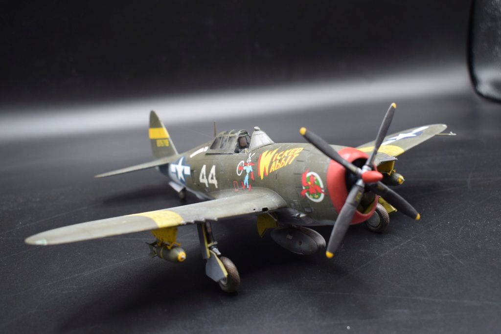 Republic P47D Thunderbolt razorback - 1/48° - Tamiya Vitrin10