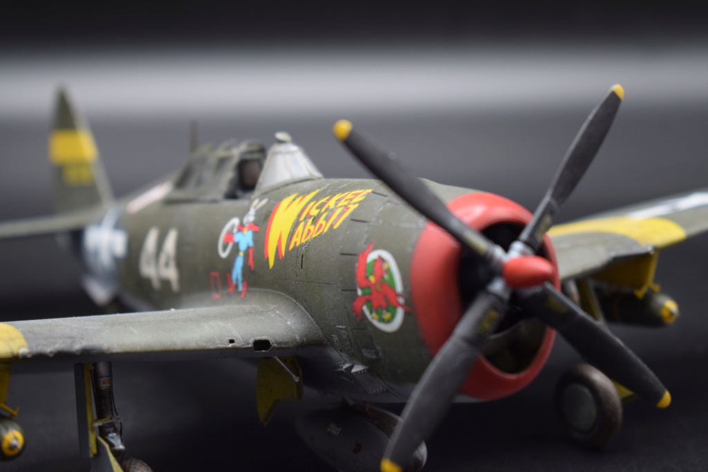 Republic P47D Thunderbolt razorback - 1/48° - Tamiya Vitrin11