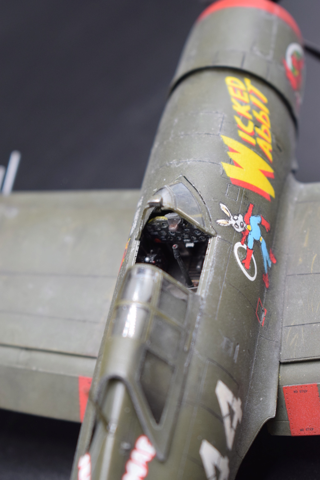 Republic P47D Thunderbolt razorback - 1/48° - Tamiya Vitrin17