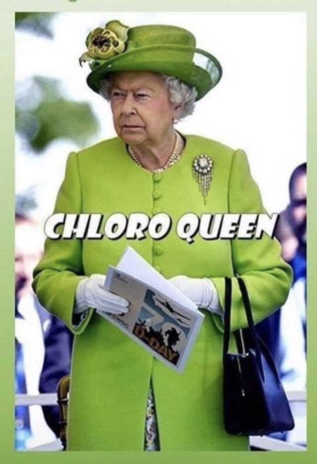 La reine Elisabeth II  - Page 11 Ce4c6210