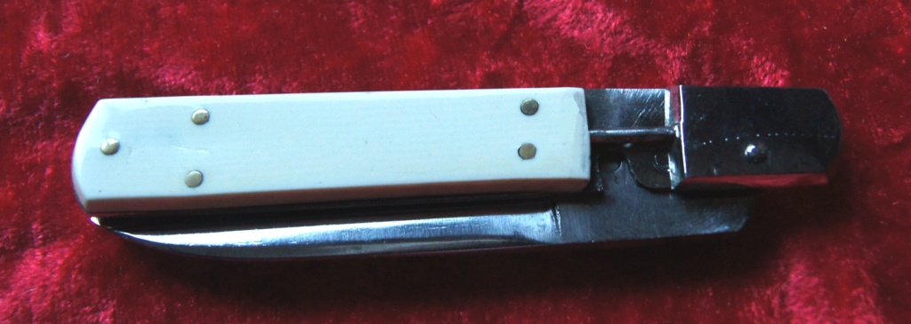 Couteaux à Système Dsc01513