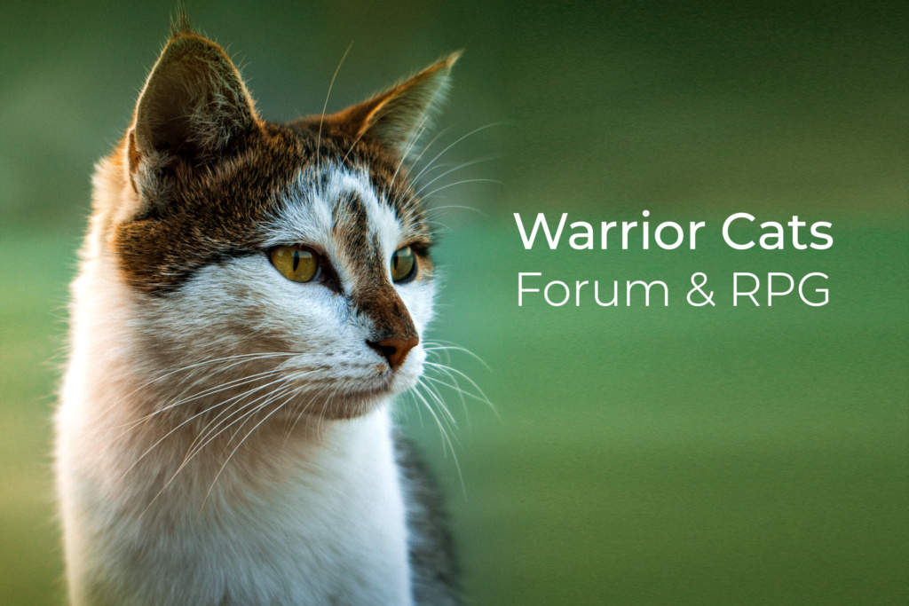 Warrior Cats Forum