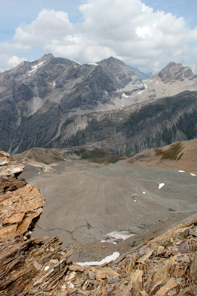 le plein de plantes en Vanoise fin août 06_pay11