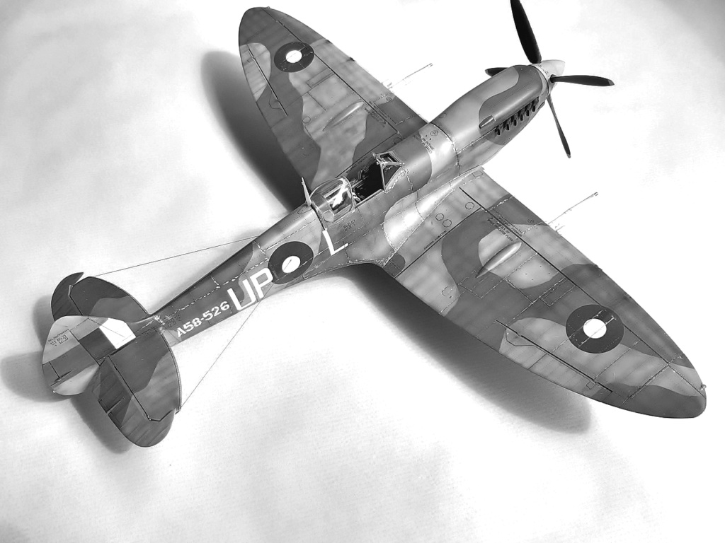 Spitfire Mk VIII -Tamiya - 1/32  0863