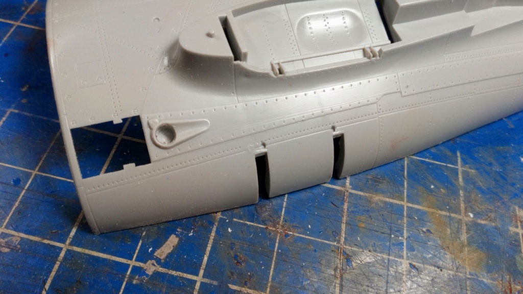 P47D Groupe II/5 Lafayette  1/32 Trumpeter - Page 2 1615