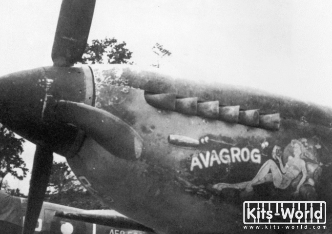 [Tamiya] 1/32 - Supermarine Spitfire Mk VIII  Avagro10