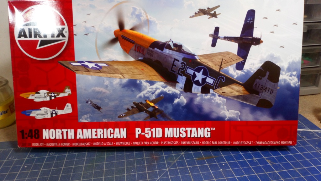 P51D Tamiya 1/48 Vs P51D Airfix 1/48   Dsc_0084