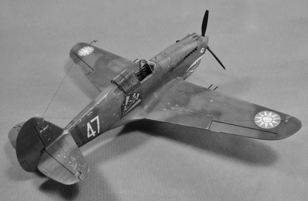 H-81 "Tigres Volants" Airfix 1/48 P3310014