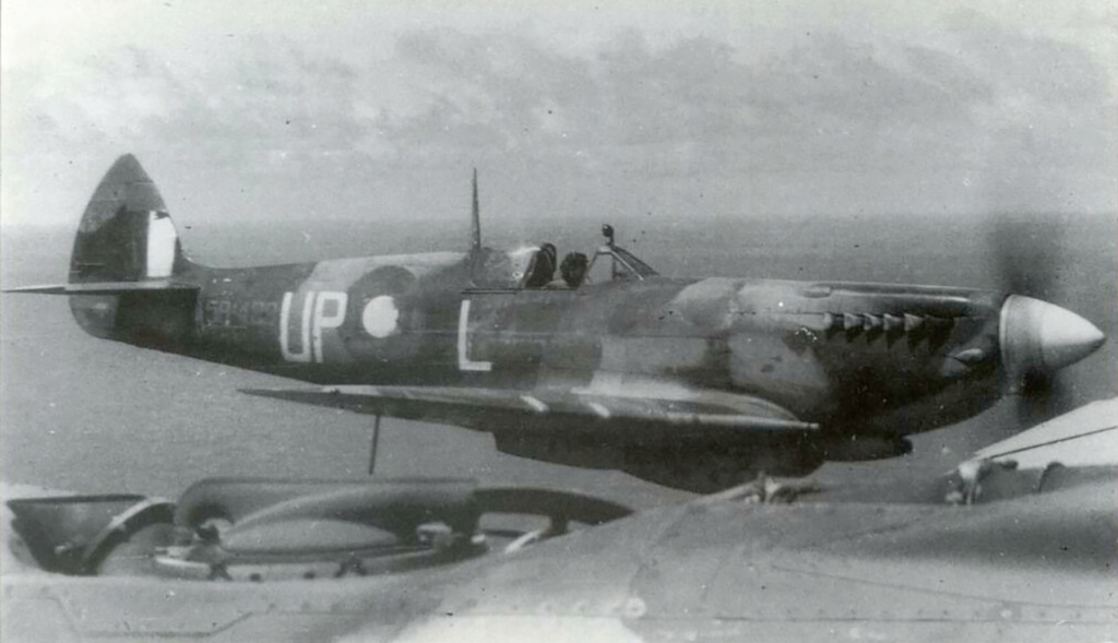 [Tamiya] 1/32 - Supermarine Spitfire Mk VIII  Spitfi10