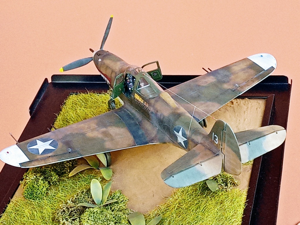* 1/32  Bell P 400   AIRACOBRA    Spécial hobby  - Page 9 Img_1576
