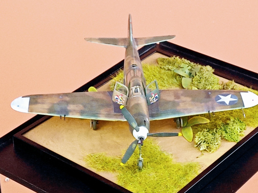 * 1/32  Bell P 400   AIRACOBRA    Spécial hobby  - Page 10 Img_1578