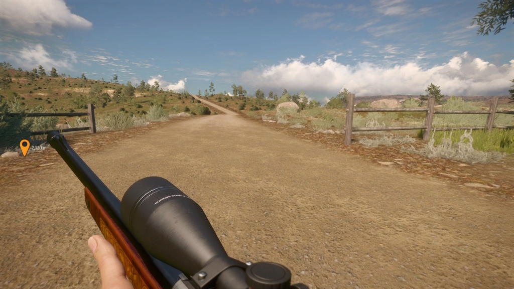 Rifle Rayo 20200112