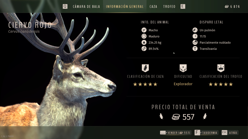 Nuevo ciervo 5 estrellas Wayoft13