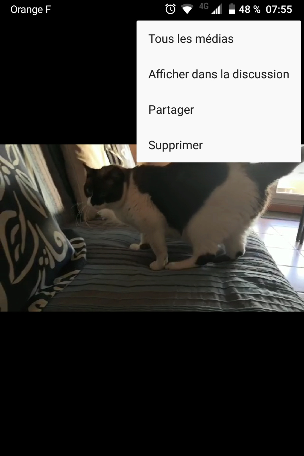 Inserer une vidéo Screen10