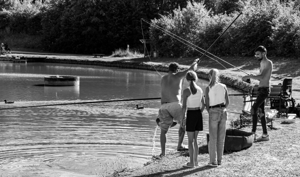 Noir et Blanc / Sépia / Désaturation partielle / Traitements divers - Page 36 Imgp0322