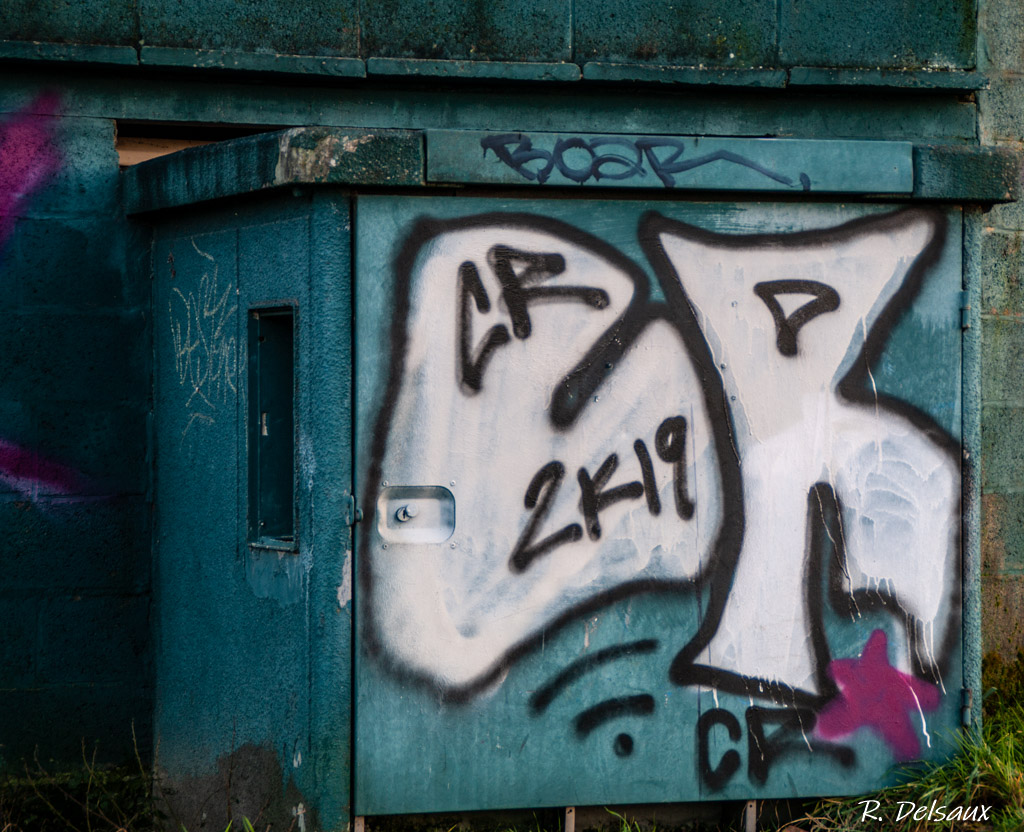 Peintures / Fresques / Tags & art de rue - Page 4 Imgp5013