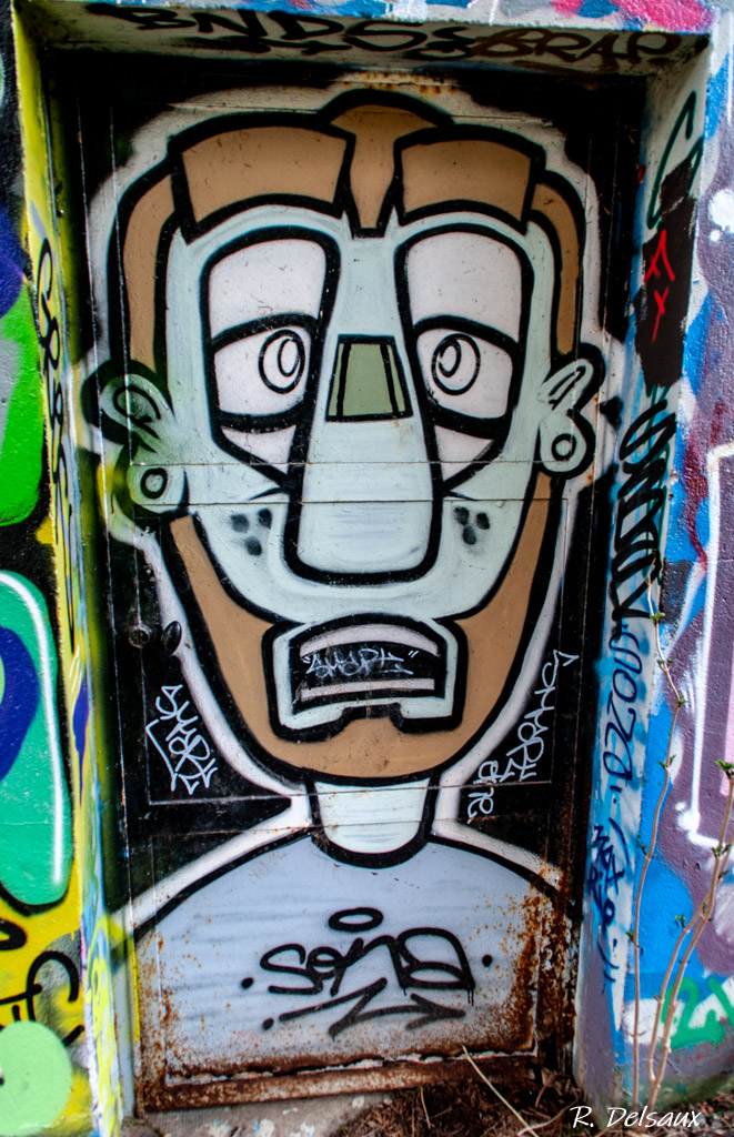 Peintures / Fresques / Tags & art de rue - Page 6 Imgp6310