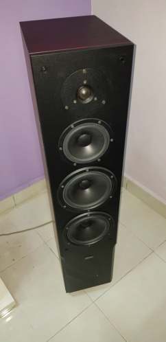 Dynaudio Audience 80 (used) 20200516