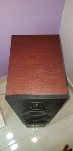 Dynaudio Audience 80 (used) 20200517