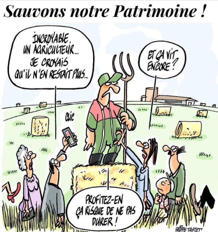 humour en images II - Page 3 Captu236