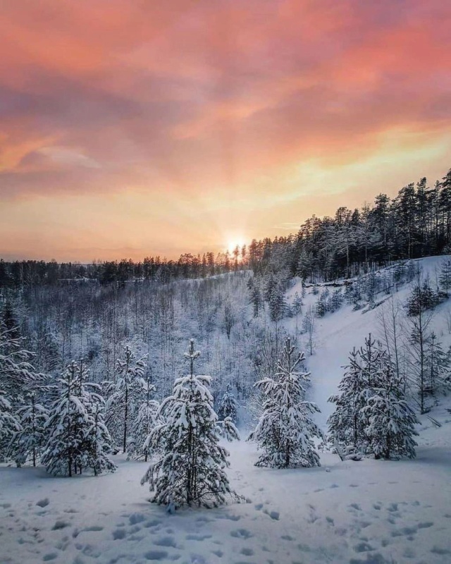 Ленобласть, Выборгский район, пос. Ильичево Photo769