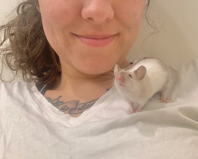 Mice for adoption in San Diego CA! Snow110