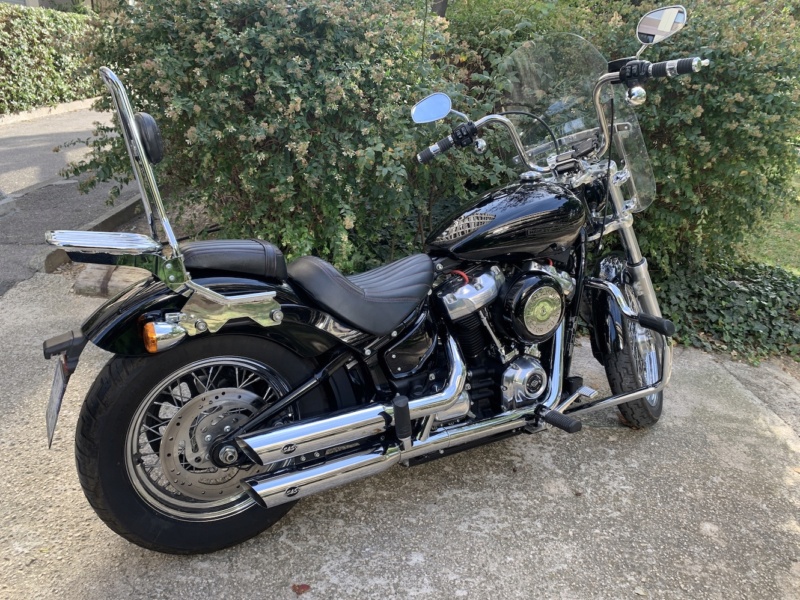 Softail Standard 2021 (M8) [TERMINE] Prof_d11