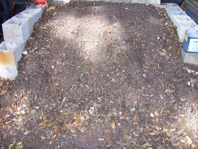 New compost bins X3 100_6621