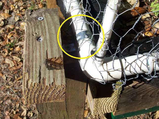 Critter Protection for the beds - new design Clamp_10