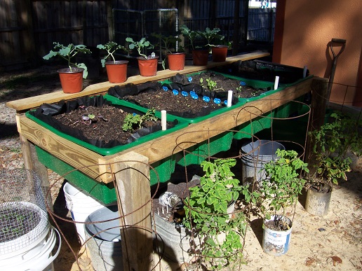 Frost's North Central Florida Garden Rack11