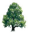 Ce forum est verrouillé, vous ne pouvez pas poster, ni répondre, ni éditer les sujets. Ce forum est verrouillé, vous ne pouvez pas poster, ni répondre, ni éditer les sujets.
