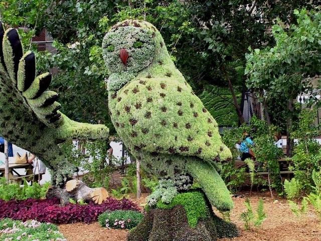 Montréal, un jardinier génial Chapea15