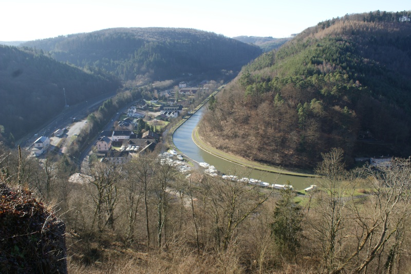 lutzelbourg - Le chateau de lutzelbourg Dsc01696