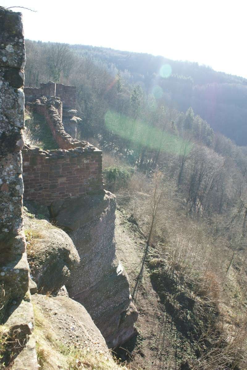 lutzelbourg - Le chateau de lutzelbourg Dsc01722