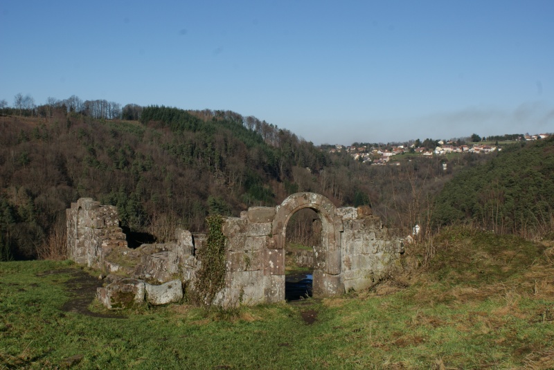 lutzelbourg - Le chateau de lutzelbourg Dsc01724