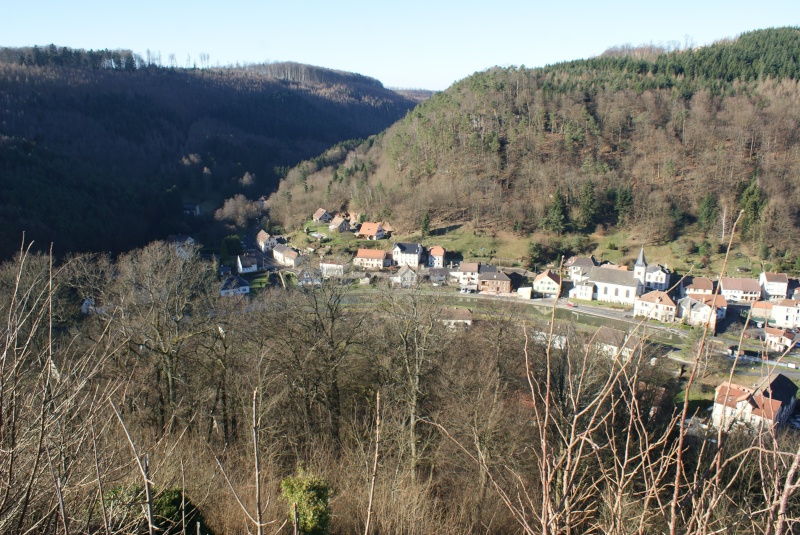 lutzelbourg - Le chateau de lutzelbourg Dsc01729