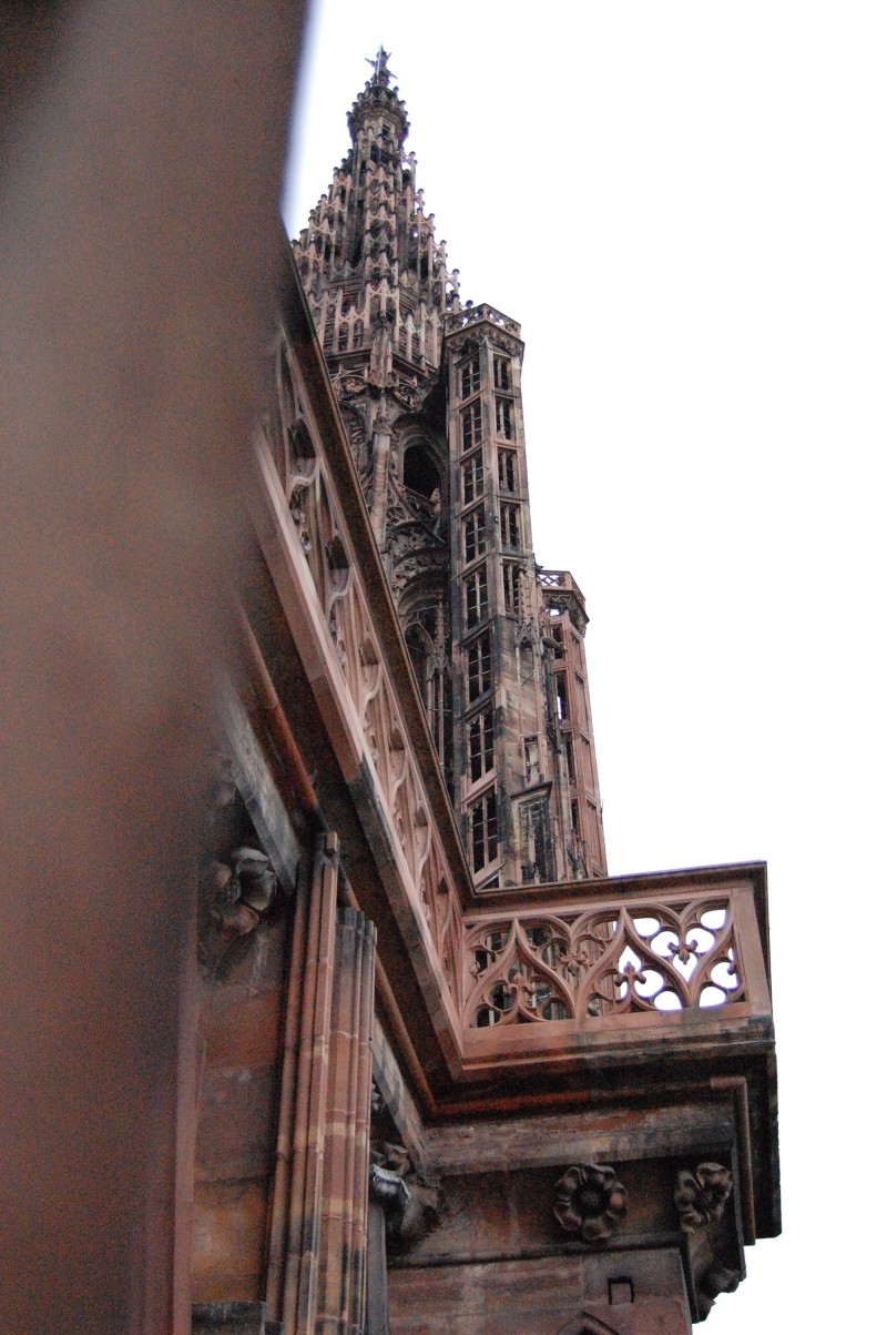 monter sur la cathédrale de strasbourg Dsc_0724