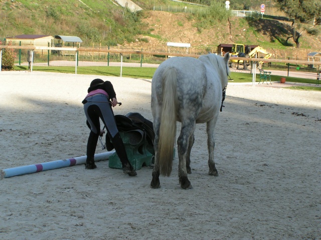 cours à cru sur les grands poneys ... A_cru_28