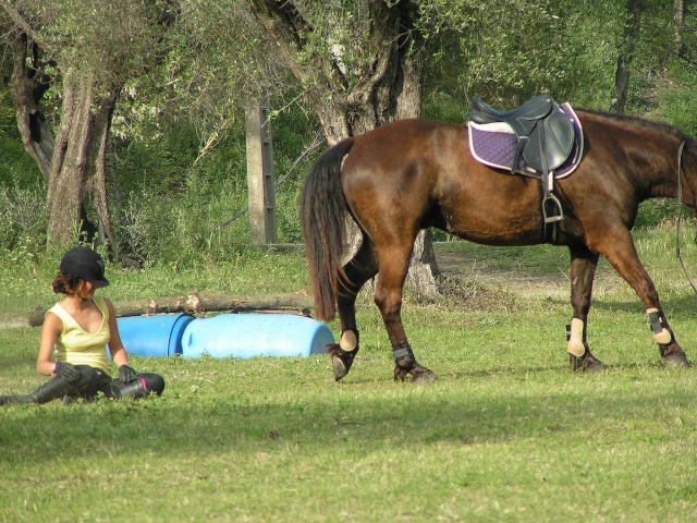 des fois on descend Galop_15