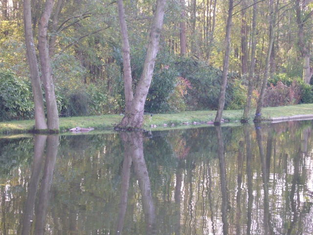 Entre ptit étang et canal Snc10216