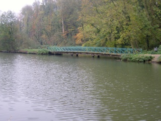 Entre ptit étang et canal Snc10318