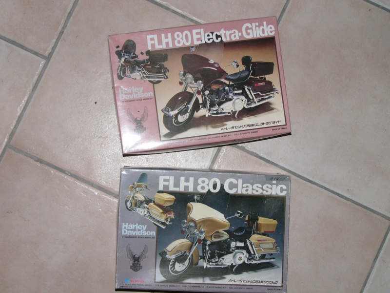 les kits Harleys P1080833