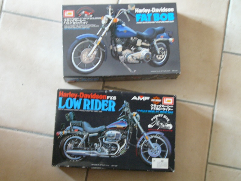 les kits Harleys P1080910