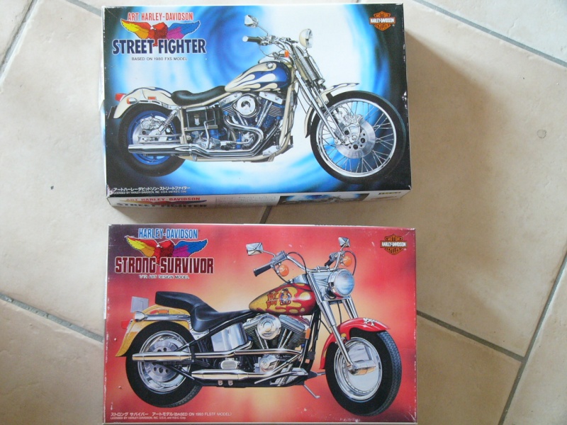 les kits Harleys P1080913