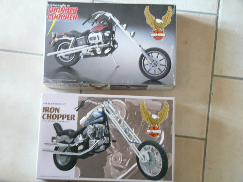 les kits Harleys P1080916