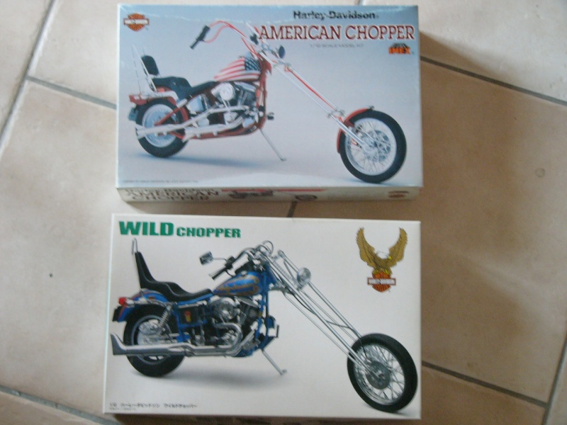 les kits Harleys P1080917