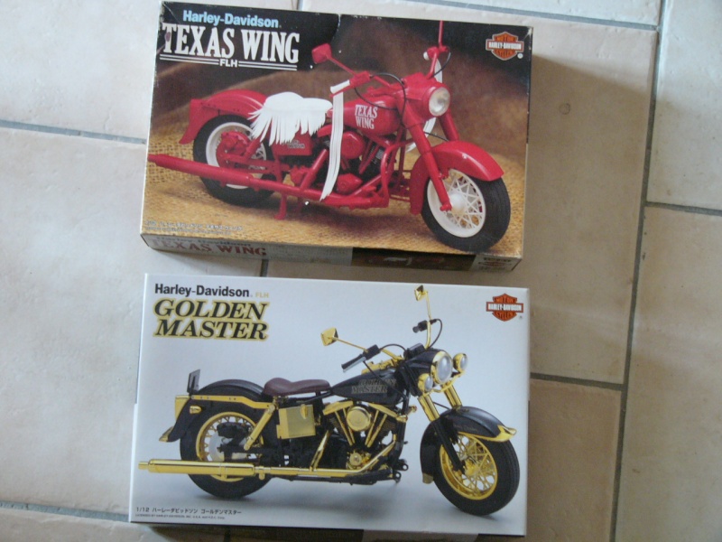 les kits Harleys P1080922
