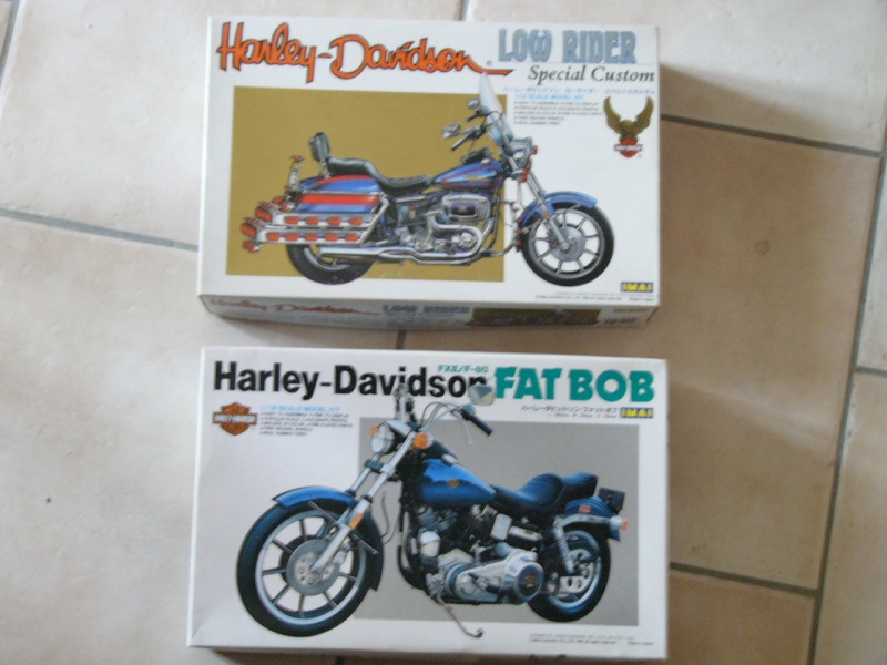 les kits Harleys P1080925
